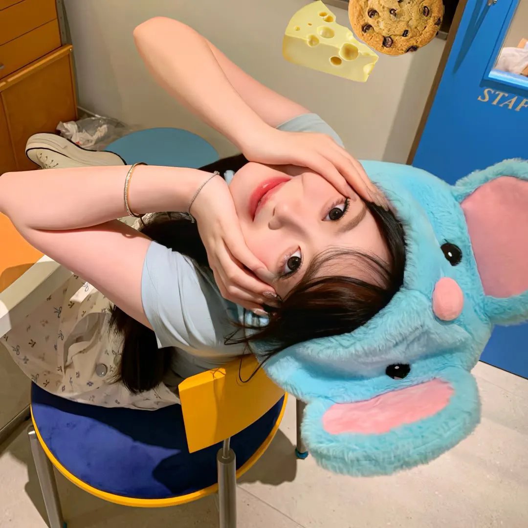 鸟,孤儿和愚人