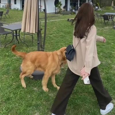 棕榈滩